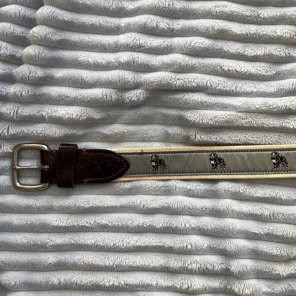 J crew classic belt with Bernese mountain dog